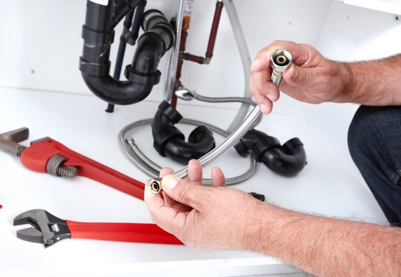 Toilet repair being carried out in Beckenham